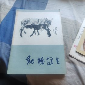 动物写生C