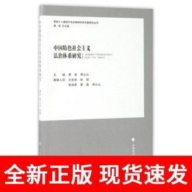中国特色社会主义法治体系研究