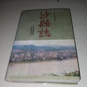 沙縣志