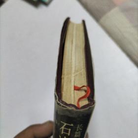 石达开:天国悲歌