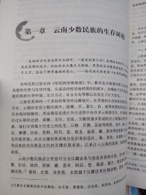 云南少数民族迁徒史诗的文学人类学研究