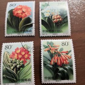 2000年君子兰盖戳邮票（全套）