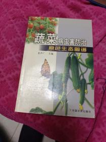 蔬菜病虫害防治原色生态图谱