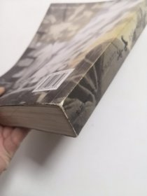 石鲁的时代与艺术