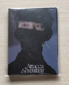 SEVENTEEN 9THMINIALBUM （光盘1张，卡册一本）全新未拆封。