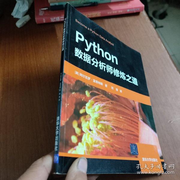 Python数据分析师修炼之道