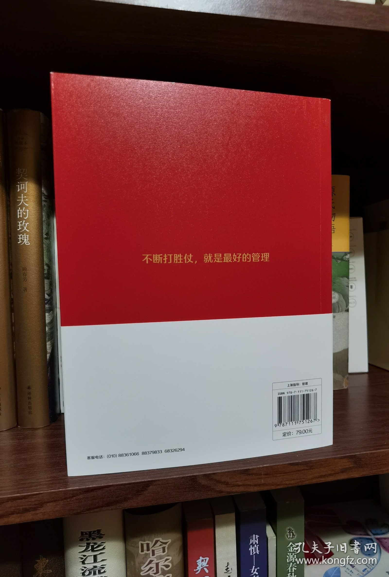 打胜仗:常胜团队的成功密码 田涛 宫玉振 吴春波 等