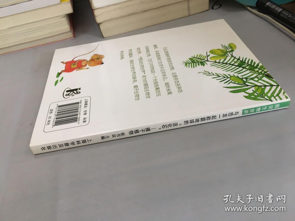 与恐龙一起称霸地球的“活化石”—裸子植物。