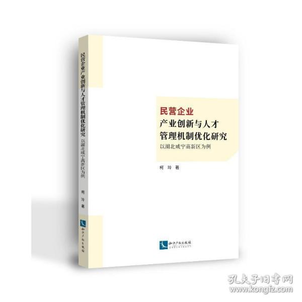 民营企业产业创新与人才管理机制优化研究：以湖北咸宁高新区为例