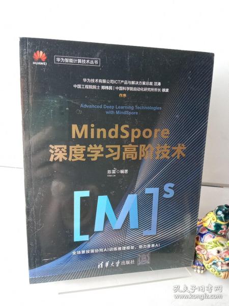 MindSpore深度学习高阶技术