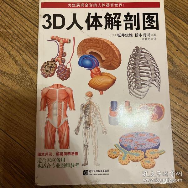 3D人体解剖图