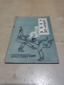 少林金鸡十三腿十路弹腿