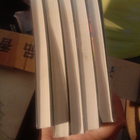 我的世界:避风港试炼，破碎，末地，海岛，末影龙（五本合售）