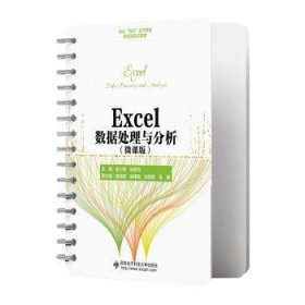 Excel数据处理与分析