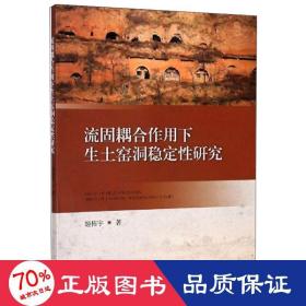 流固耦合作用下生土窑洞稳定性研究