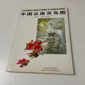 中国云南百鸟图