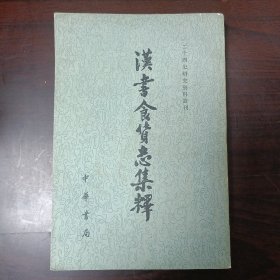 汉书食货志集释 二十四史研究资料丛刊 正版书籍，保存完好，实拍图片，一版一印