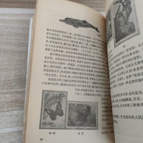 祖国