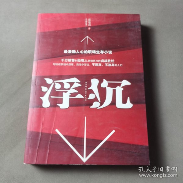 浮沉：最激励人心的职场生存小说