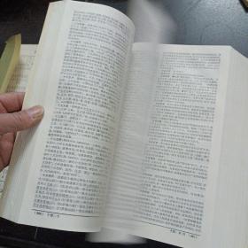 辞海 上中，2册合售,3.9kg——s3