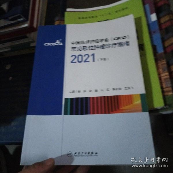 中国临床肿瘤学会（CSCO）常见恶性肿瘤诊疗指南2021（下册）