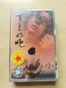 小柯【天色将晚】 1998年出品，灰卡，上海声像出版社出品，品相如图，有歌词，播放正常，值得收藏。