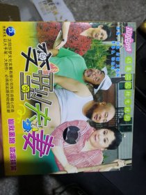 二人转电视剧《变型夫妻》VCD（15号箱）
