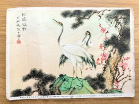 戈湘岚与林雪严画片1954年（共13张）