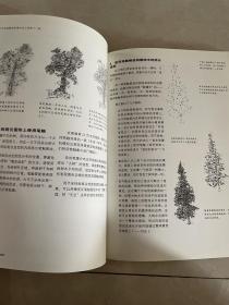 6堂课学会绘画：观察的诀窍