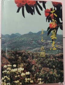 大方县志