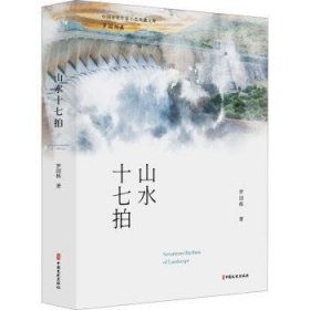 山水十七拍/中国专业作家小说典藏文库