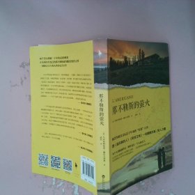 那不勒斯的萤火（被誉为欧美文坛近十年来的“灯塔”巨作，跟《追风筝的人》《阿甘正传》一样震撼灵魂、给人力量。）