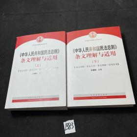 中华人民共和国民法总则 条文理解与适用（套装上下册）