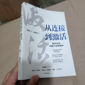 从连接到激活：数字化与中国产业新循环