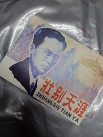 壮别天涯