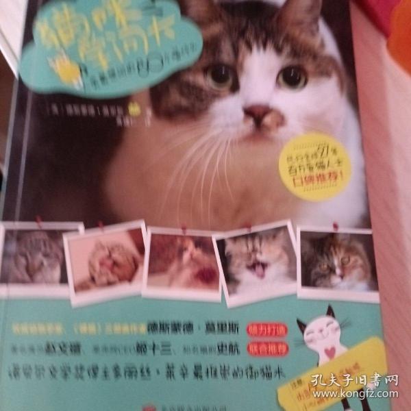 猫咪学问大：80个人类最想问的喵什么