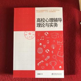 高校心理辅导理论与实务