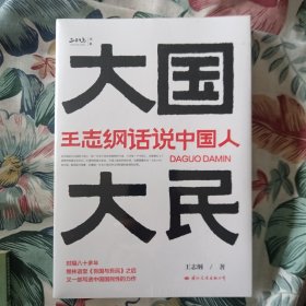 大国大民——王志纲话说中国人
