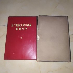 无产阶级 胜利万岁