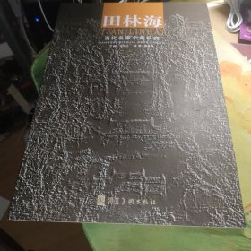 当代名家个案研究 田林海（画集）