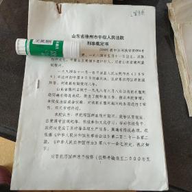 山东省德州市中级人民法院刑事裁判书、罪犯结案登记表、山东省平原县人民法院刑事判决书、山东省平原县人民法院执行通知书(邢某某)