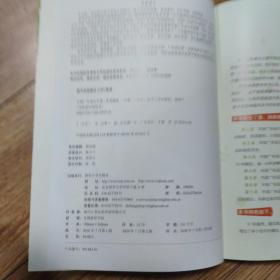 平面广告设计手册（第2版）（写给设计师的书）