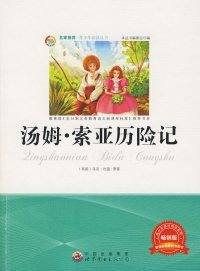 汤姆索伊历险记
