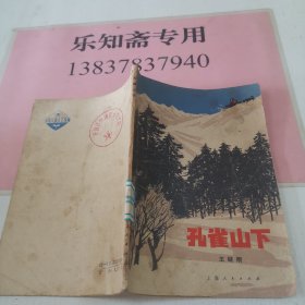 孔雀山下 少年儿童读物 一版一印 陈云华插图。