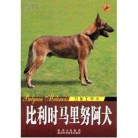 世界名犬-比利时马里努阿犬 生活休闲 王晓