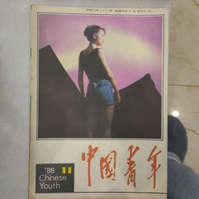 中国青年1988-11