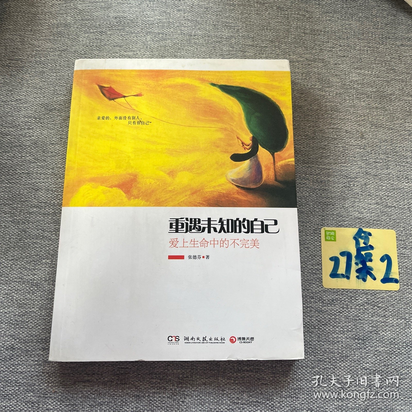 重遇未知的自己：爱上生命中的不完美