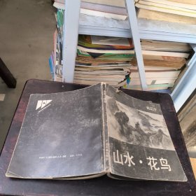 山水.花鸟