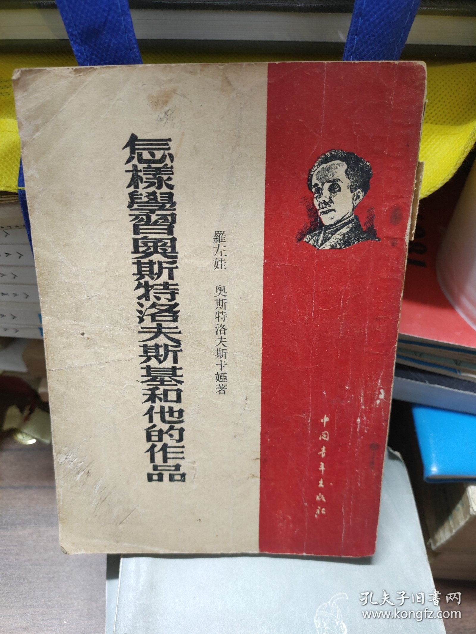 怎样学习奥斯特洛夫斯基和他的作品