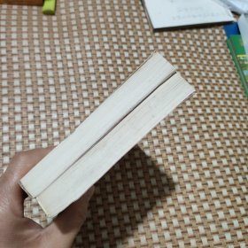 鬼谷算命术+周易卦象预测 玄机术数风水八卦丛书 两本合售